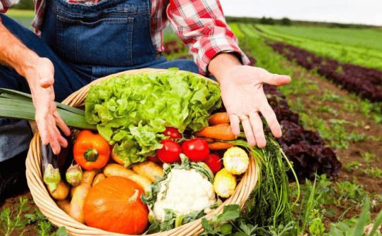 三农日报(10月14日)蔬菜无人农场:成本可节约55%__财经头条